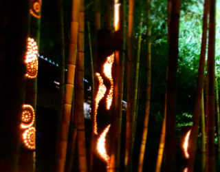 竹あかりオンラインイベント開催のお知らせ「みんなの想火」 ２０２０年７月２３日（木）