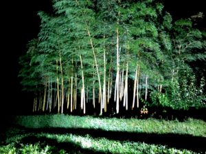 みんなの想火2020竹あかり