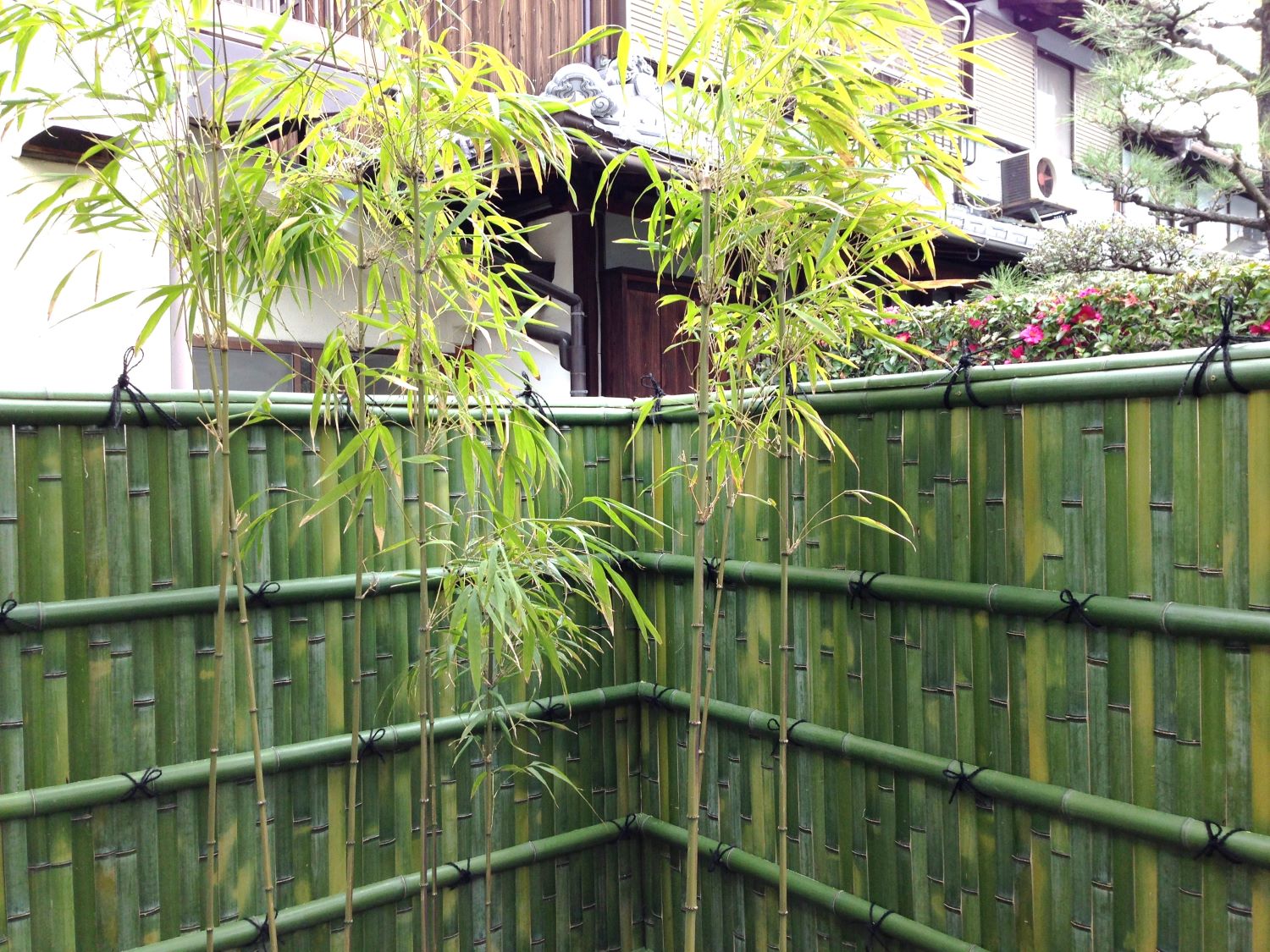 無機質なブロック塀が「建仁寺垣」で和みの空間に