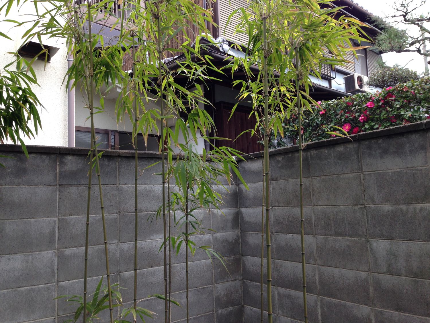 無機質なブロック塀が「建仁寺垣」で和みの空間に