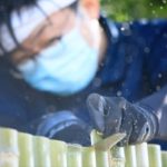 新しいスタイルの竹垣を作る長岡銘竹株式会社