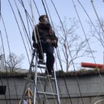 竹の空間演出＠みやこめっせTASKの学生とコラボ