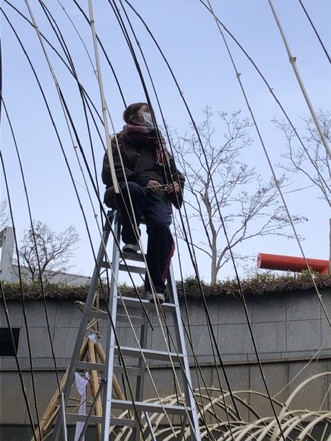 竹の空間演出＠みやこめっせTASKの学生とコラボ