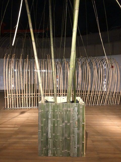 竹の空間演出＠みやこめっせ