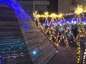 バンビオイルミネーション2020 光の道塗