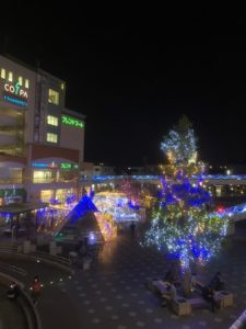 バンビオイルミネーション2020 光の道塗