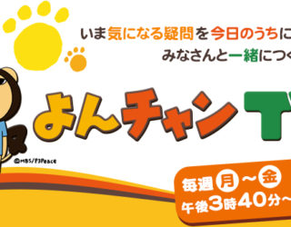 【TV出演のおしらせ】5/4MBS「よんチャンTV」竹とSDGs