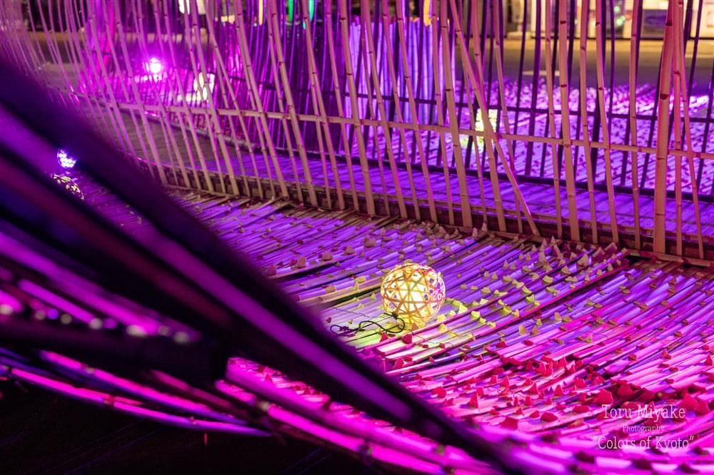 亀岡　竹のイルミネーション