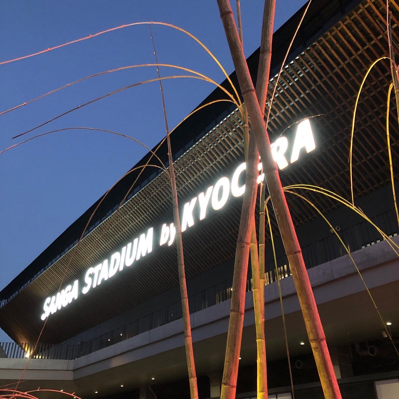 亀岡　竹のイルミネーション