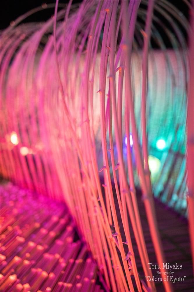 亀岡　竹のイルミネーション