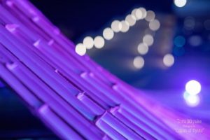 亀岡　竹のイルミネーション