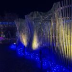 長岡京　竹のイルミネーション