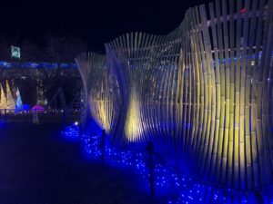 長岡京　竹のイルミネーション