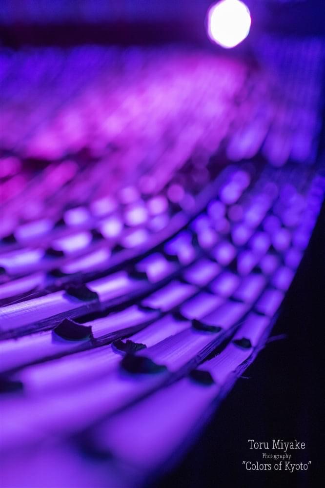亀岡　竹のイルミネーション