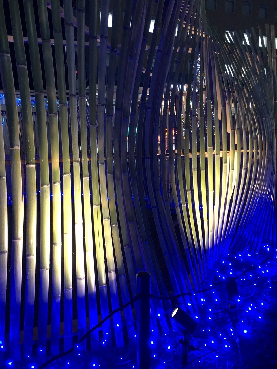 長岡京　竹のイルミネーション