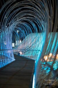 亀岡　竹のイルミネーション