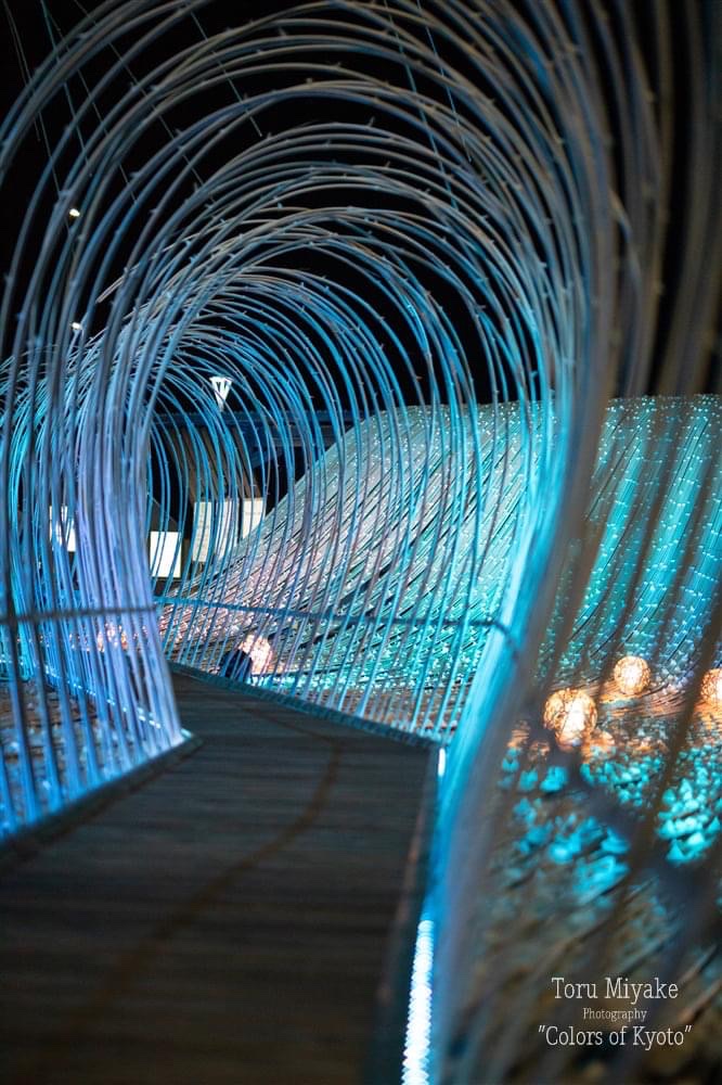 亀岡　竹のイルミネーション