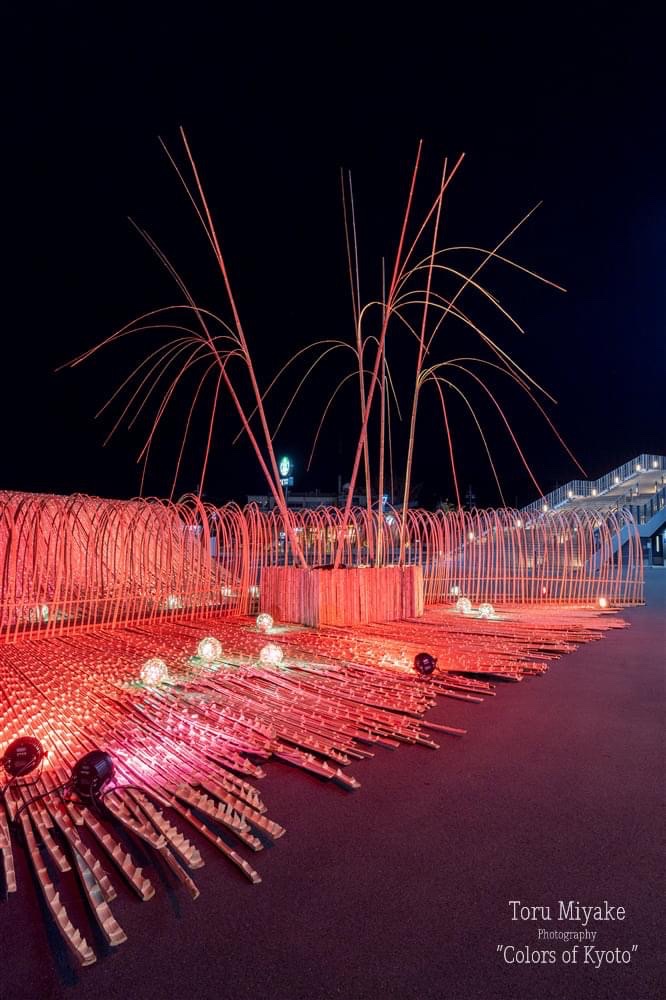 亀岡　竹のイルミネーション
