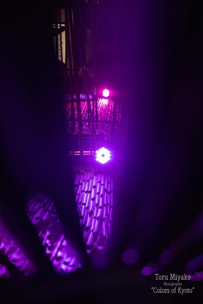 亀岡　竹のイルミネーション