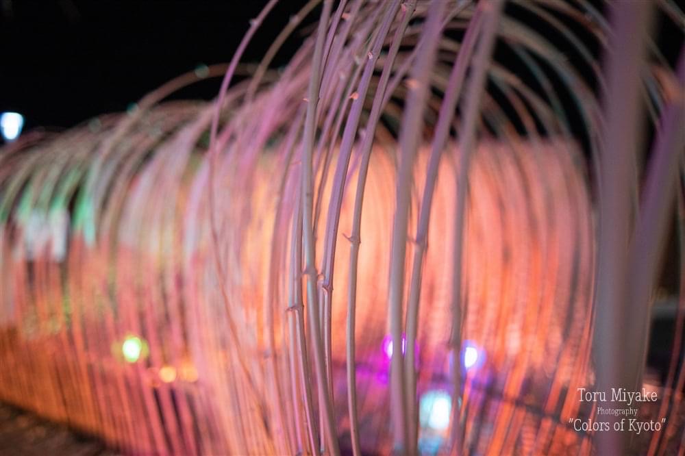 亀岡　竹のイルミネーション