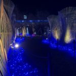 長岡京　竹のイルミネーション