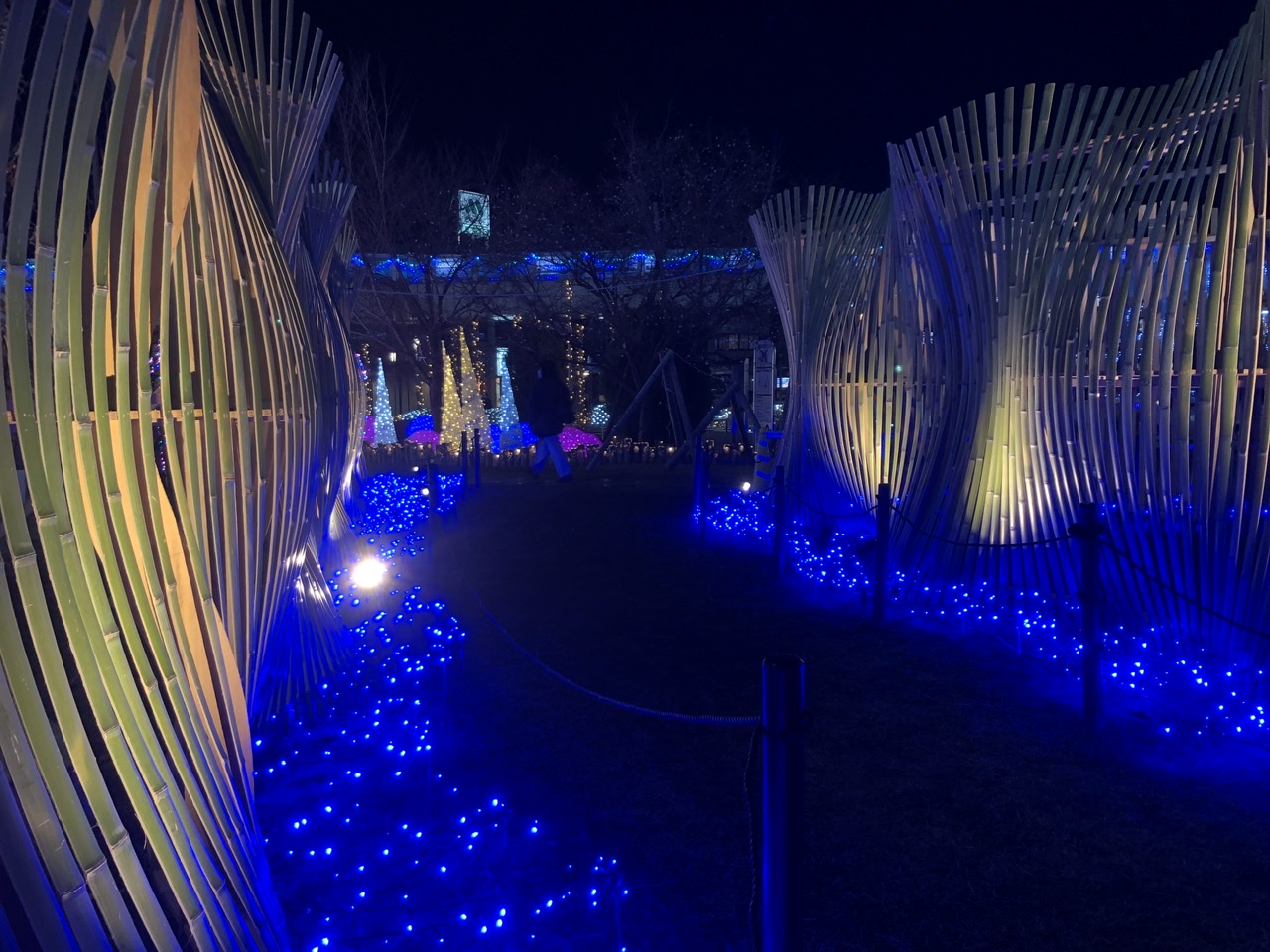 長岡京　竹のイルミネーション