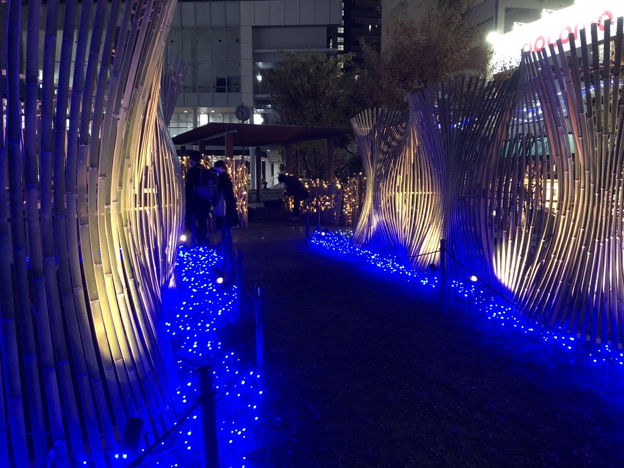 長岡京　竹のイルミネーション