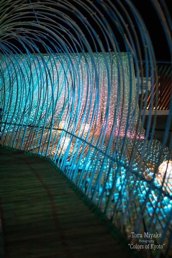 亀岡　竹のイルミネーション