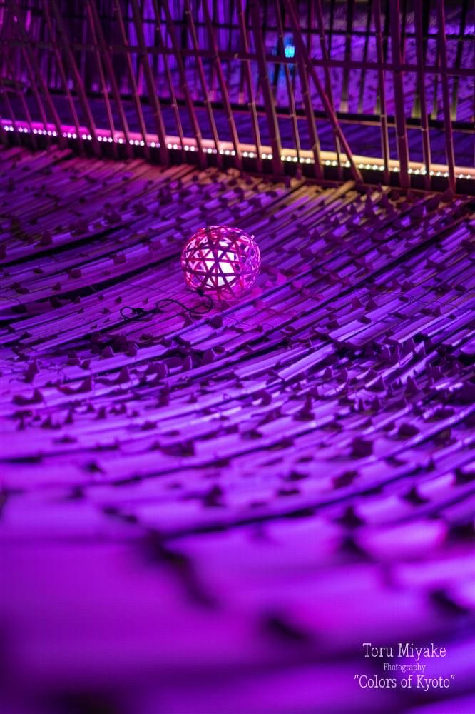 亀岡　竹のイルミネーション