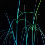 亀岡　竹のイルミネーション