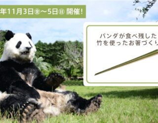 【イベント情報】11/3~5『LOTUS WEEKEND』＠清浄華院withアドベンチャーワールド