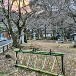 創作足元垣　大石垣