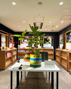 TSUMIKI工芸コラボ作品