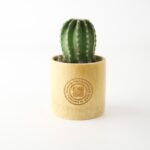 ももいろクローバーZ×長岡銘竹コラボ竹カップ