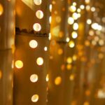 竹あかりinモリカミミュージアム&日本庭園