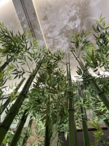 竹オブジェ＠NU茶屋町