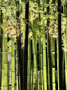 竹オブジェ＠NU茶屋町