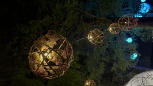 よはのつきプロジェクト竹ボール