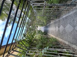 萩のトンネル@梨木神社