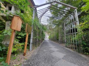 萩のトンネル@梨木神社
